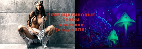 молекула духа Бронницы