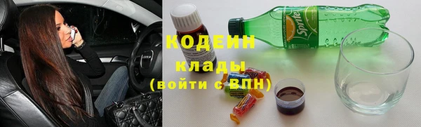 прущие крисы Бородино