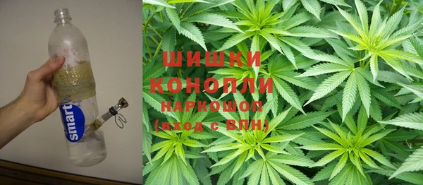 прущие крисы Бородино