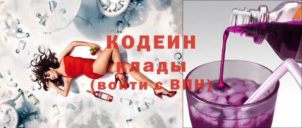 гидра Богородицк